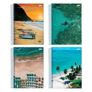 CADERNO UNIV FLEX 1M 96FLS BRASILIDADE
