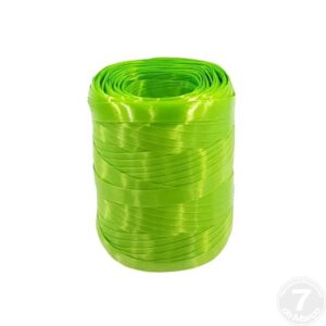 FITILHO DECORATIVO LIMAO 5MM X 50M UND NIZURI